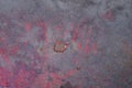 texture of old dirty gray red iron wall Royalty Free Stock Photo