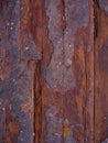 texture of the old floor, worn floorboards, exfoliated paint, Royalty Free Stock Photo
