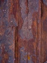 texture of the old floor, worn floorboards, exfoliated paint,