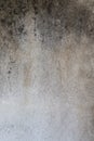Texture of old gray concrete wall for background.Cement wall texture for interior design.