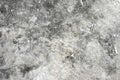 Texture of old gray concrete wall for background