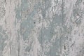 Texture of old light grey-blue wooden wall with cracking white paint