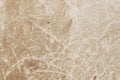 Texture of old moldy paper with dirt stains, spots, cardboard texture vintage background Royalty Free Stock Photo