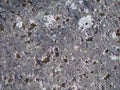 Texture of old natural mossy stone. Royalty Free Stock Photo