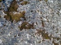 Texture of old natural mossy stone