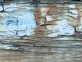 Texture of the old, old, rotten, cracked, dilapidated, dilapidated, painted, swollen paint of a peeling textured tree with horizon