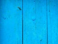 texture of old painted shabby rustic wooden fence made of planks, with rusty nails, grunge background Royalty Free Stock Photo