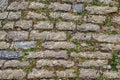 Texture of old paving stones with grass growing between the tiles Royalty Free Stock Photo