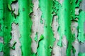 Texture of old peeling green paint on an iron fence Royalty Free Stock Photo