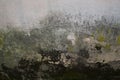 Texture of old plaster mossy lichen wall Royalty Free Stock Photo