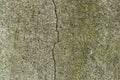 Texture of old raw moldy stone cement wall for 3D texturing