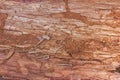 The texture of old rotting wood close-up Royalty Free Stock Photo