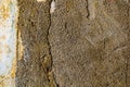The texture of the old rough surface of the cement with large fractions of sand and stones. Royalty Free Stock Photo