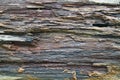Texture of old rough wood on the board Royalty Free Stock Photo