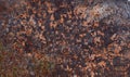 Texture of an old rusted metal iron sheet. Rust texture backdrop Royalty Free Stock Photo