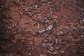 The texture of an old rustic wall is covered with red stucco. Abstract background for design Royalty Free Stock Photo