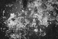 Texture of old rusty metal sheet, grungy rust metal plate monochrome texture background Royalty Free Stock Photo