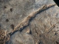 Texture of an old stone floor in the rotunda in Thessaloniki, Greece Royalty Free Stock Photo