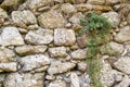 Texture old stone wall of ancient fortress Royalty Free Stock Photo