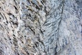 The texture of old stone wall. It is a beautifull natural patterned surface with white and gray Royalty Free Stock Photo