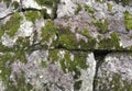 Texture of old stone wall covered green moss Royalty Free Stock Photo