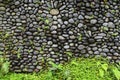 Texture of old stone wall covered green moss in Indonesia Royalty Free Stock Photo