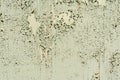 Texture of the old surface of a wooden wall painted with green paint, a layer of paint flakes and falls behind the tree Royalty Free Stock Photo