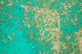 Texture of the old surface of a wooden wall painted with green paint, a layer of paint flakes and falls behind the tree Royalty Free Stock Photo