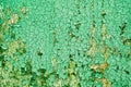 Texture of the old surface of a wooden wall painted with green paint, a layer of paint flakes and falls behind the tree Royalty Free Stock Photo