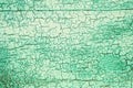 Texture of the old surface of a wooden wall painted with green paint, a layer of paint flakes and falls behind the tree Royalty Free Stock Photo