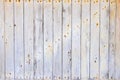 Texture of the old surface of a wooden wall painted with white paint, a layer of paint flakes and falls behind the tree Royalty Free Stock Photo