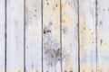 Texture of the old surface of a wooden wall painted with white paint, a layer of paint flakes and falls behind the tree Royalty Free Stock Photo