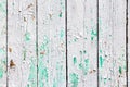 Texture of the old surface of a wooden wall painted with white paint, a layer of paint flakes and falls behind the tree Royalty Free Stock Photo