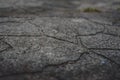 Texture of old textured concrete tiles,