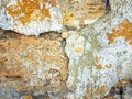 The texture of the old wall of the coquina cracked Royalty Free Stock Photo