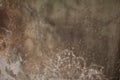 Texture of old wall covered with gray stucco Royalty Free Stock Photo