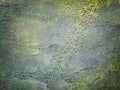 Texture of old wall with decorative plaster navy blue and green colors Royalty Free Stock Photo