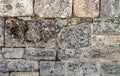 The texture of the old wall. Vintage brick back. The wall is made of shell rock of various rectangular shapes Royalty Free Stock Photo