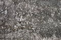 The texture of old weathered concrete with signs of aging. Background for design