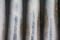 Texture of old weathered corrugated iron. Royalty Free Stock Photo