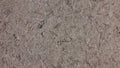 Texture of old weathered white/grayish chipboard sheet. Particle board.