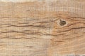Texture of an old weathered wooden board closeup. Natural wood background Royalty Free Stock Photo