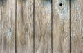 The texture of an old weathered wooden wall with remnants of blue paint. Wooden background with a space to copy Royalty Free Stock Photo