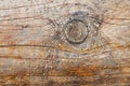 Texture old wood with bough Royalty Free Stock Photo