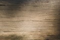 Texture of old wood damaged by insects, in the rays of sun and shadows from trees Royalty Free Stock Photo