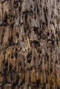 Texture of old wood with cracks, background Royalty Free Stock Photo