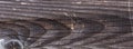 Texture of old wood plank surface background Royalty Free Stock Photo