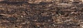 Texture of old wood plank surface background Royalty Free Stock Photo