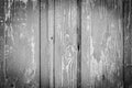 Texture of an old wooden door. the paint is peeling, cracked. vintage texture, background for your text. monochrome Royalty Free Stock Photo