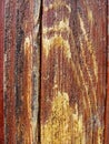 Texture-old wooden painted protective paint brown figured Board with flows of wood amber resin. Detail of wooden planks.